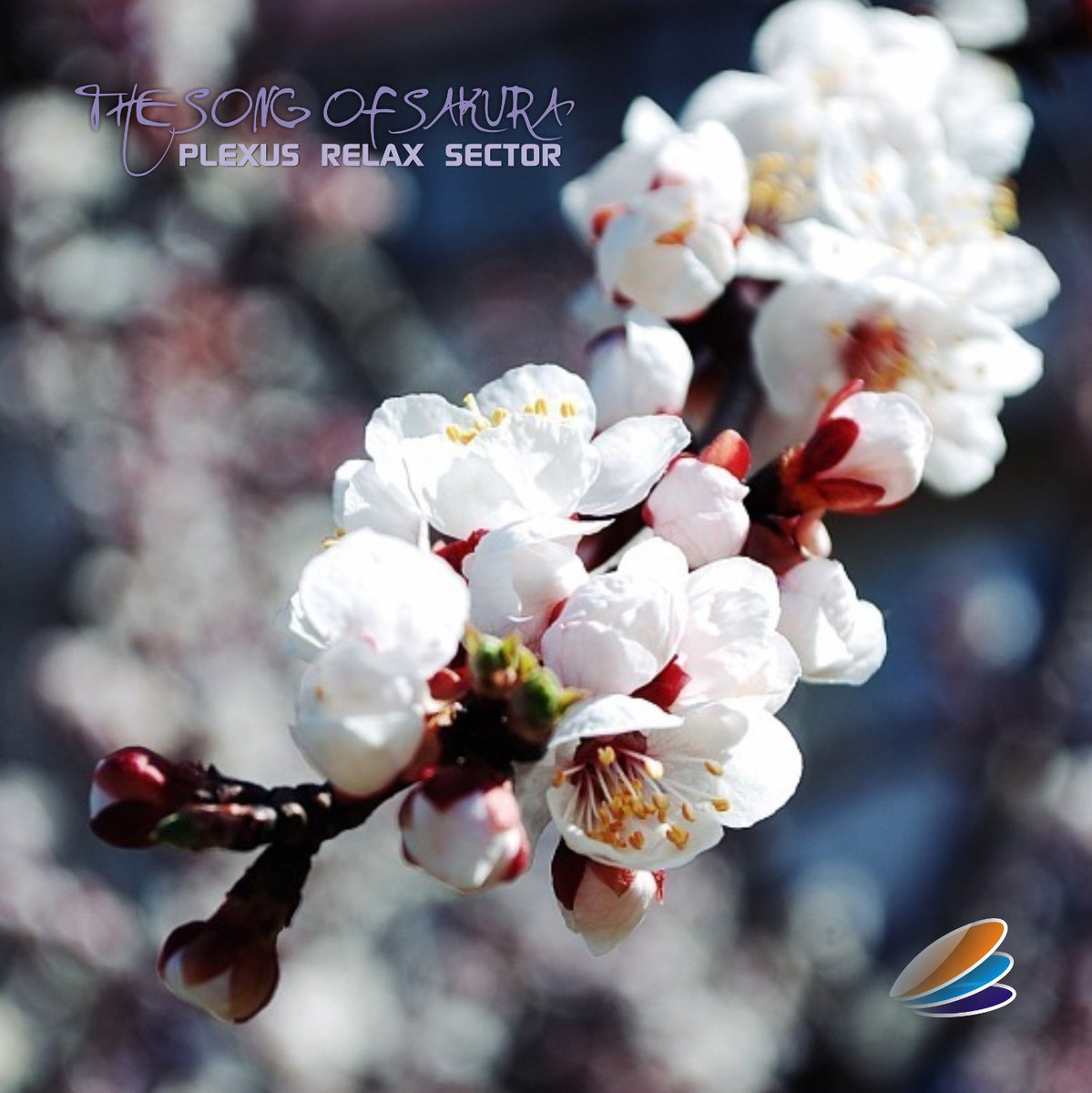 Plexus Relax Sector - The Song Of Sakura
