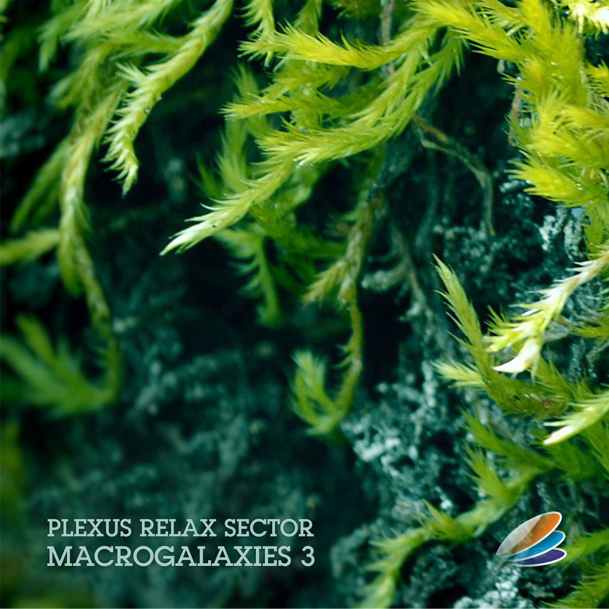 Plexus Relax Sector - Macrogalaxies 3