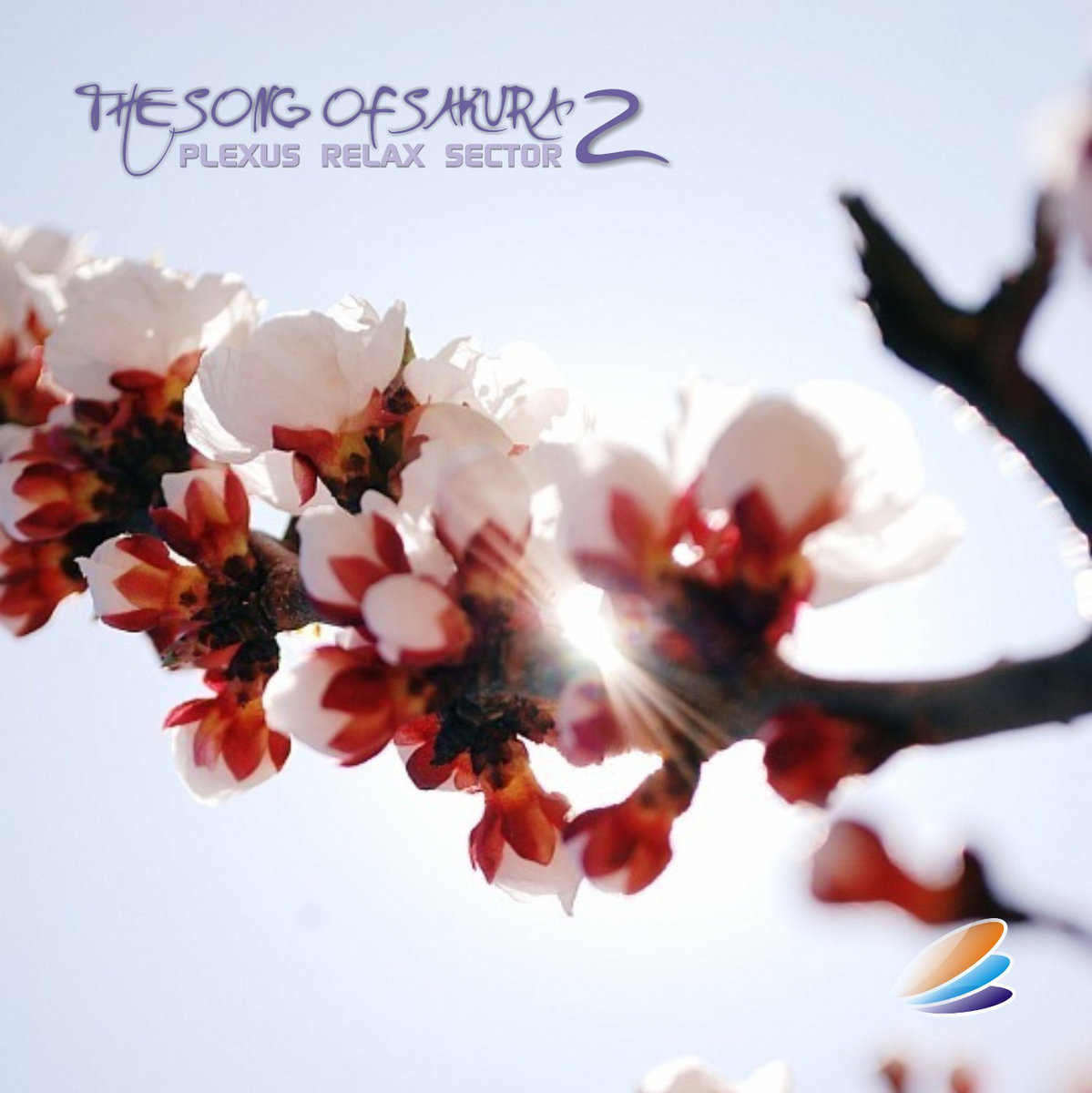 Plexus Relax Sector - The Song Of Sakura - 2