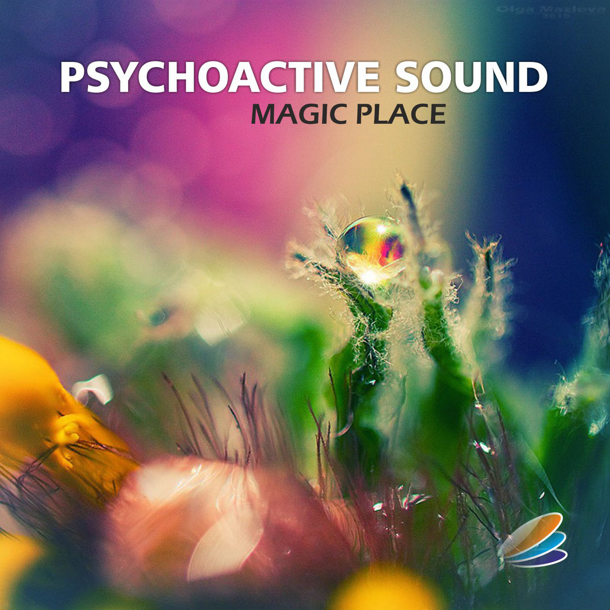 Psychoactive Sound - Magic Place