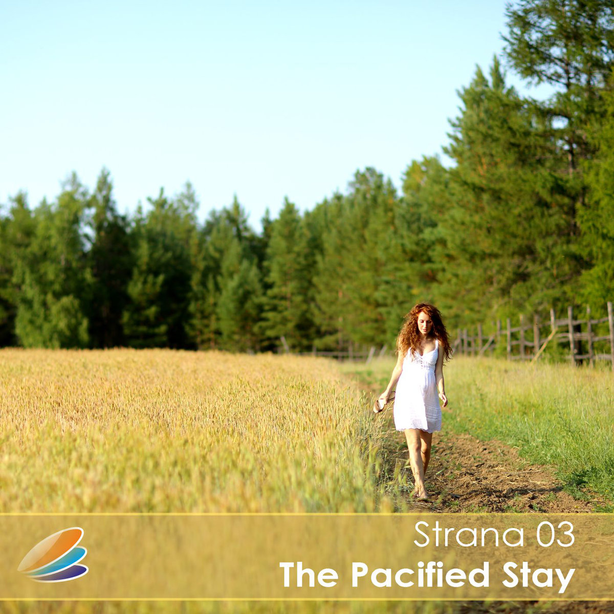Strana 03 - The Pacified Stay