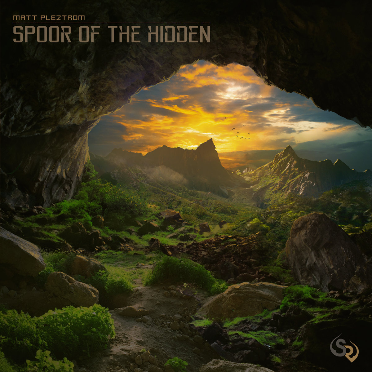 Matt Pleztrom - Trapped-Normality @ 'Spoor Of The Hidden' album (bass, electronic)